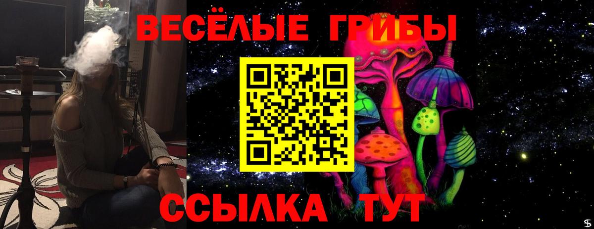 Псилоцибиновые грибы мухоморы  Галлюциногенные грибы мухоморы  Кудрово  Вход с VPN 